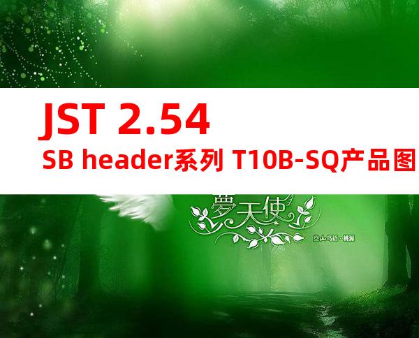 JST 2.54SB header系列 T10B-SQ产品图纸